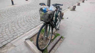 Aylardır Ağaca Kilitli Duran Bisikleti Çöp Kutusuna Çevirdiler