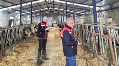 Afyonkarahisar’da Besicilik İşletmelerine Kapasite Ölçümleri Sürüyor