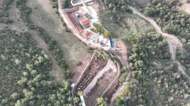 Bilecik’te Sokak Hayvanları İçin Yapılan Tedavi ve Rehabilitasyon Hizmetleri Açıklandı