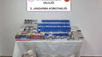 Jandarmadan kaçak makaron operasyonu