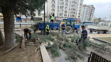Kütahya’da Aşırı Rüzgâr Nedeniyle Ağaçlar Yollara Savruldu