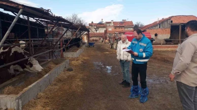 2026 Yılı Besilik Hayvan İthalatı Kapsamında İşletmeler Denetleniyor