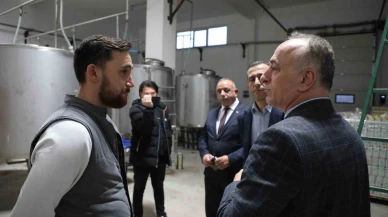 Sarıcakaya’da zeytin, kırsal kalkınmanın lokomotifi oldu