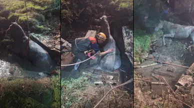 71 Evler’de Kuyuya Düşen Yaralı At Kurtarıldı
