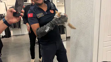 Eskişehir İtfaiyesi Mahsur Kalan Kedi ve Köpeği Kurtardı