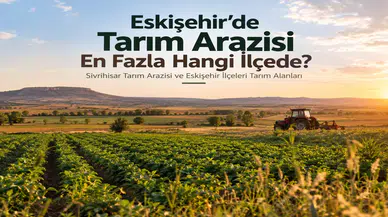 Eskişehir’de Hangi İlçede Daha Fazla Tarım Arazisi Bulunuyor?