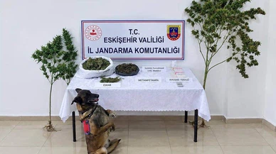 Eskişehir’de Yasaklı Madde Operasyonu: 1 Tutuklama