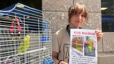 Sokakta bulduğu kuşun sahibini harçlıklarıyla bastırdığı ilanları asarak arıyor