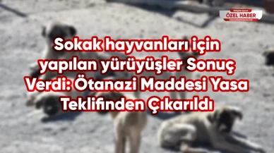 Sokak hayvanları için yapılan yürüyüşler Sonuç Verdi: Ötanazi Maddesi Yasa Teklifinden Çıkarıldı