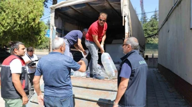 Eskişehir'de 715 Bin Yavru Sazan Balığı Su Kaynaklarına Bırakıldı