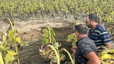 Çifteler’de Şaşkına Çeviren Görüntü