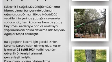 Eskişehir İl Sağlık Müdürlüğü'nden Ağaç Kesimi