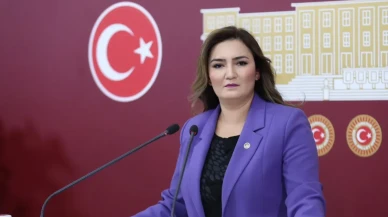 CHP İzmir Milletvekili Sevda Erdan Kılıç konuyu Meclis'e Taşıdı: Aile Katliamlarında 9 Ayda 35 Çocuk Hayatını Kaybetti