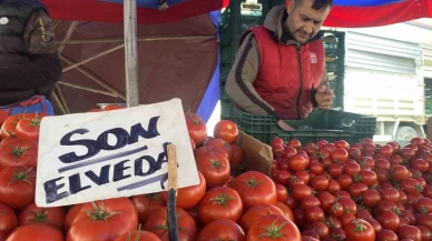 Ucuz ve Lezzetli Bahçe Domateslerine Esnaf ’Son Elveda’ Dedi