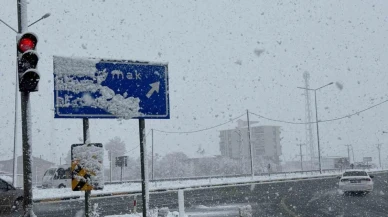 Bitlis’e Mevsimin İlk Karı Yağdı