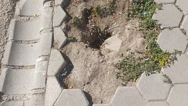 Engelli Vatandaşlar Bozulan Kaldırımı Kullanmakta Zorlanıyor