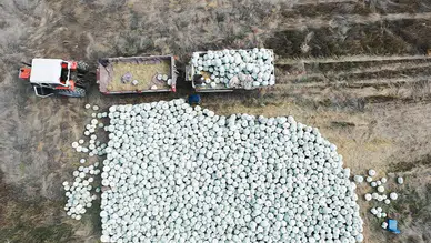 Eskişehir’de Türkiye’nin İlk Bal Kabağı Çalıştayı Yapılacak