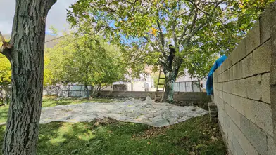 Bitlis'in coğrafi işaretli cevizi sofralara inmeye hazırlanıyor