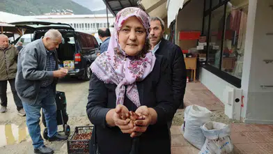 Erfelek'in meşhur kuzu kestanesi sezonu açtı: Fiyatlar 800 liraya kadar çıkıyor