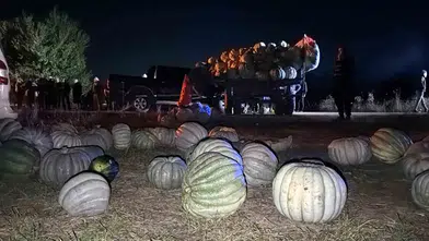 Bolu'da tarım aracı ve pikabın karıştığı zincirleme kazada dört kişi yaralandı