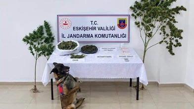 Eskişehir’de Yasaklı Madde Operasyonu: 1 Tutuklama