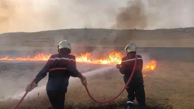 Cezayir'de 24 saatte 6 bölgede 72 yangın: Ekipler 64'ünü söndürdü, 8'ine müdahale sürüyor