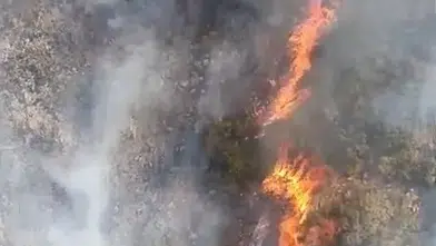 Bursa'da alevler ormana sıçradı: 2 uçak ve 4 helikopterle havadan müdahale