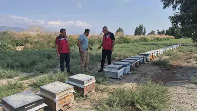Antakya'da Bal Hasadı Sürüyor: Müdür Türkmen Üreticiyi Yalnız Bırakmadı