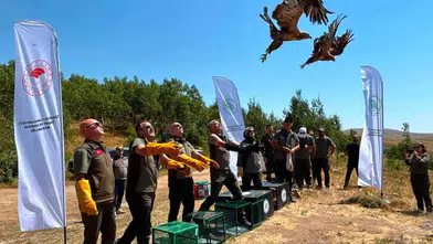 Nemrut Kalderası'nda doğaya dönüş: 5 yırtıcı kuş yeniden gökyüzüyle buluştu