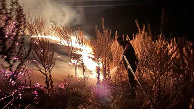 Sarıgöl'de trafo faciası: Yıldırım düşmesi sonucu makilik alan alevlere teslim oldu