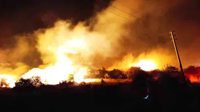 Aliağa'da gece yarısı kabusu: Zeytinlikleri saran alevler 4 saatte durduruldu
