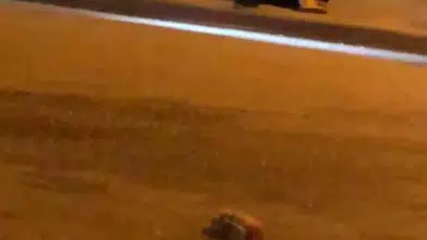 Ankara Caddesi'nde gece yarısı sopalı dehşet: Bir kişi hastanelik oldu
