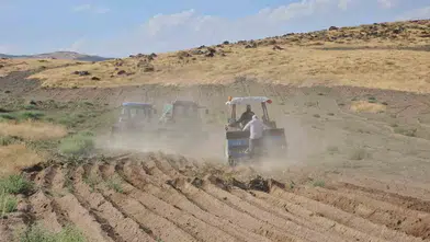 Adilcevaz ovasında buğday mesaisi: Çiftçiler yeni sezon için kolları sıvadı