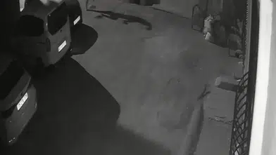 İzmir'de vicdansızlık kamerada: Sahibinden köpeğine sokak ortasında şiddet
