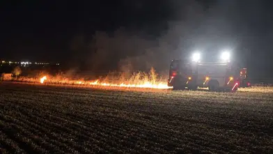 Muratlı'da gölet çevresindeki yangın paniği itfaiye müdahalesiyle son buldu