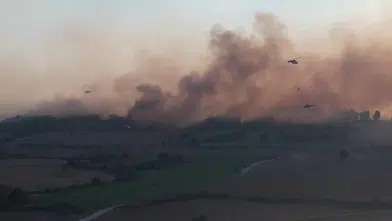 Adana'da orman yangını üç ilçeye yayıldı: Havadan ve karadan dev müdahale