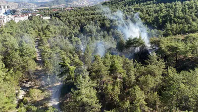 Karabük'te Kent Ormanı'nda korkutan yangın: Ekipler büyümeden durdurdu