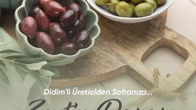 Didim'de Zeytin Üreticisine Yeni Pazar Alanı: Aracısız Satış Dönemi Başlıyor