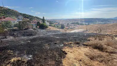 Bozüyük'te Söğüt Yolu üzerindeki otluk alanda çıkan yangın korkuttu