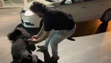 Bursa'da ters yöne giren sürücü ortalığı birbirine kattı: Polis aracına saldırdı, trafiğe fırladı