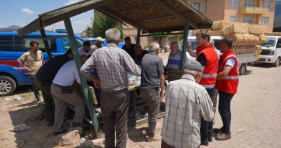 Gölpazarı’nda Yangın Nöbeti: Soğutma Bitene Kadar Sahadalar