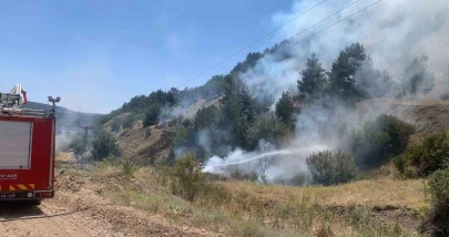 Kütahya’da Orman Yangını Büyümeden Kontrol Altına Alındı