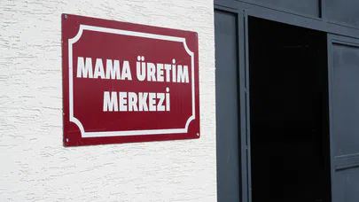 Atık Yemekler Sokak Hayvanlarına Mama Oluyor