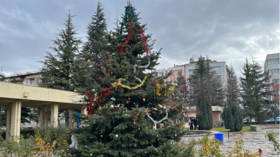 Porsuk MYO’da Yılbaşı Heyecanı: Öğrenciler Canlı Ağacı Süsledi