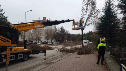 Odunpazarı Belediyesi Park ve Bahçelerde Yenileme Çalışmalarına Başladı