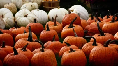 Kızılinler Bal Kabağı Panayırı O Tarihte Gerçekleşecek!