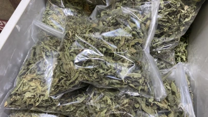 Stresi Azaltan Bitkisel Ürünlere Talep Arttı