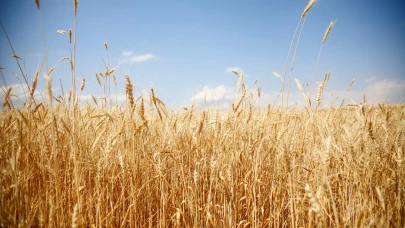 Eskişehir’de Tarımın Geleceği O Tarihte “Su, Tarım, Gelecek” Panelinde Masaya Yatırılacak
