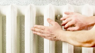 Petek Temizliğinde Devrim! Saç Kurutma Makinesiyle Hem Temizlik Hem Tasarruf