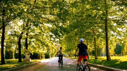 Ulusal Fotoğraf Yarışması Başladı
